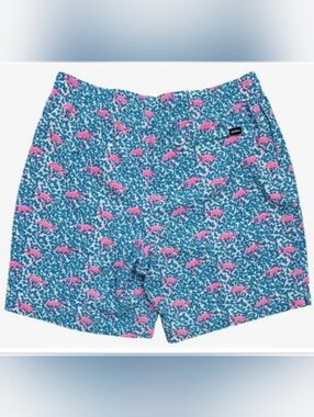 Chubbies the Domingos are for Flamingos swim trunks.